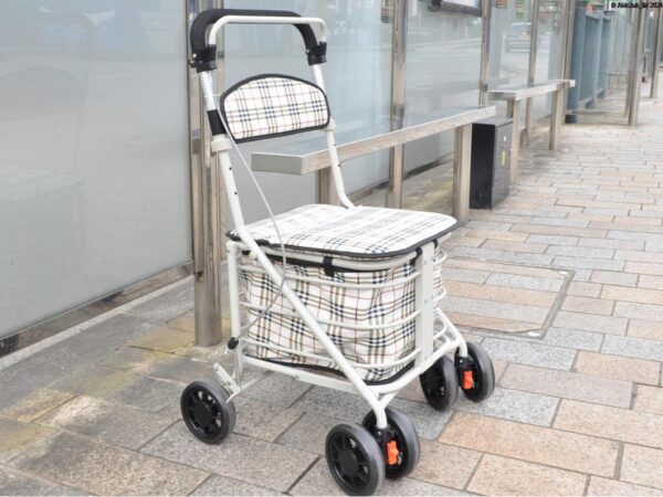 Shopping Trolley